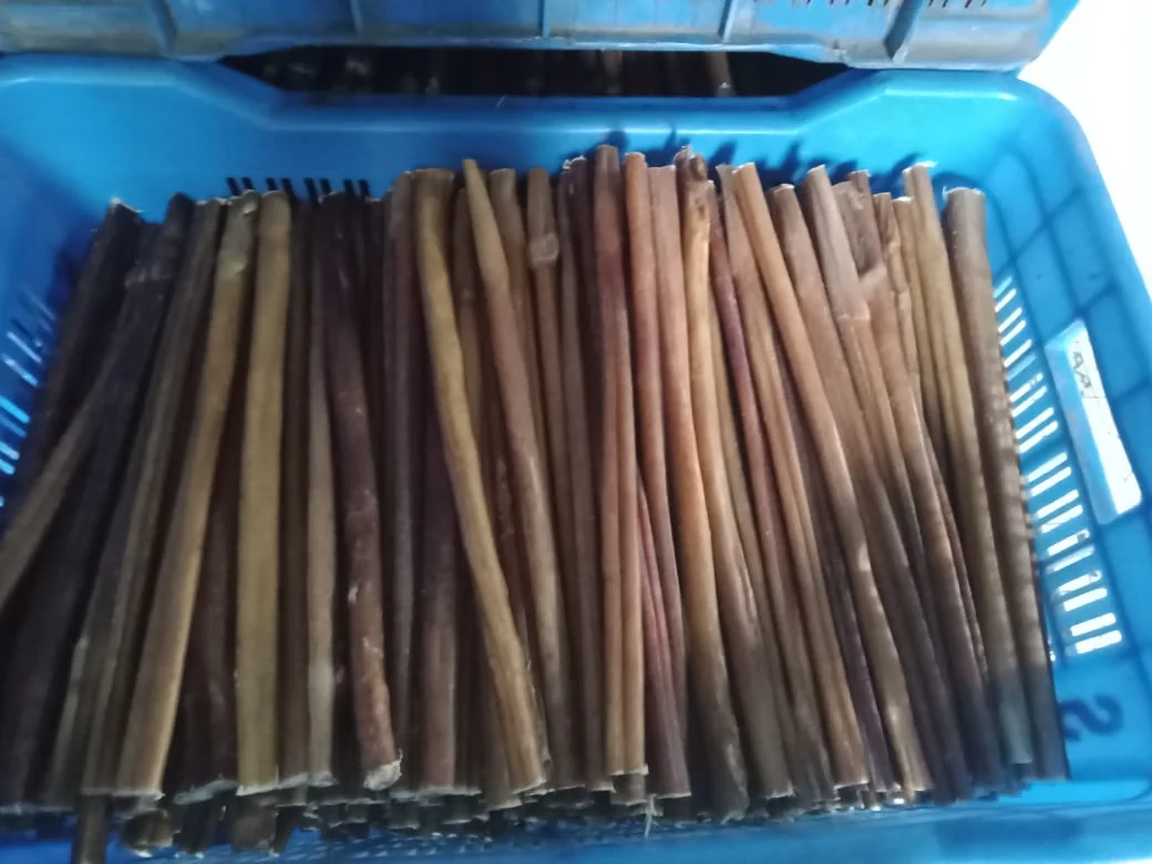 Bully sticks sorted into crates by grade
