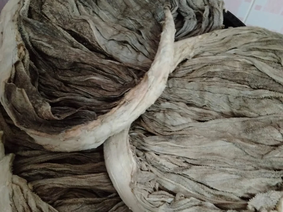 Omasum washing and salting basin